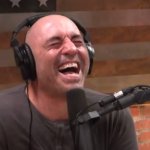 Laughing Regular Joe