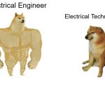 Buff Doge vs. Cheems | Electrical Engineer; Electrical Technician | image tagged in memes,buff doge vs cheems | made w/ Imgflip meme maker