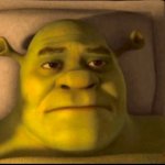 Shriek in bed feeling stressed