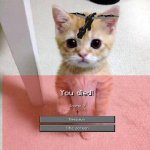 Bruhhh | MMMMMMMM TTTT | image tagged in memes,cute cat | made w/ Imgflip meme maker