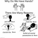 Cherish him | Black; Black; Black; Black | image tagged in why do we have hands all blank,sprunki | made w/ Imgflip meme maker