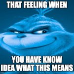 Blue Grinch | THAT FEELING WHEN; YOU HAVE KNOW IDEA WHAT THIS MEANS | image tagged in blue grinch | made w/ Imgflip meme maker