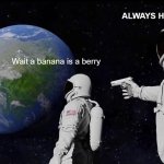 Always Has Been | ALWAYS HAS BEEN; Wait a banana is a berry | image tagged in memes,always has been | made w/ Imgflip meme maker