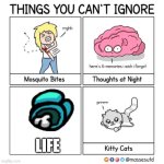 Things You Can't Ignore | LIFE | image tagged in things you can't ignore | made w/ Imgflip meme maker