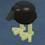 Roblox Pukeko meme