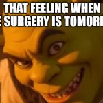 That feeling when knee surgery is tomorrow shrek edition | THAT FEELING WHEN KNEE SURGERY IS TOMORROW: | image tagged in shrek smile | made w/ Imgflip meme maker