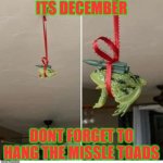 Time to put up the missle toads | ITS DECEMBER; DONT FORGET TO HANG THE MISSLE TOADS | image tagged in missle toad | made w/ Imgflip meme maker