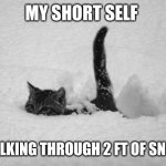 It's Soo cold and it snowed so Yay ig | MY SHORT SELF; WALKING THROUGH 2 FT OF SNOW | image tagged in snow cat | made w/ Imgflip meme maker