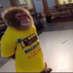 Funny Tshirt Monkey