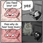 demonic grey little cat | yes; you feed your cat; then why do i hear boss music? | image tagged in brain before sleep | made w/ Imgflip meme maker