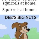 Wait, that's not right- | Me: Mom, can we have squirrels at home? My mom: We have squirrels at home. Squirrels at home: | image tagged in dee's big nuts,memes,funny,squirrel | made w/ Imgflip meme maker