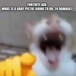 :skull: | FORTNITE KID:
WHAT IS A GRAY PISTOL GOING TO DO, 20 DAMAGE? ROBBER BREAKS INTO KID'S HOUSE WITH GUN: | image tagged in cat pointing and laughing | made w/ Imgflip meme maker