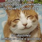 Have a good day :) | Upvote to have a good day, downvote to have a good day; Do absolutely nothing to have a good day | image tagged in happy cat | made w/ Imgflip meme maker