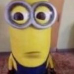 meme minion staring