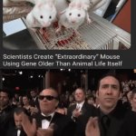 Extraordinary mouse | image tagged in gifs,mouse,mice,memes,you know i'm something of a scientist myself,sometimes my genius is it's almost frightening | made w/ Imgflip video-to-gif maker