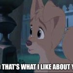 And That's What I Like About You | AND THAT'S WHAT I LIKE ABOUT YOU | image tagged in lady and the tramp 2 angel,alyssa milano,disney dogs,disney,dogs | made w/ Imgflip meme maker