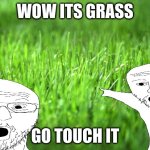 grass | WOW ITS GRASS; GO TOUCH IT | image tagged in grass is greener,touch grass | made w/ Imgflip meme maker