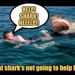 Shark Attack | HELP! SHARK! HEEELP!! That shark's not going to help him. | image tagged in shark,memes,funny memes,picture punches,shark week | made w/ Imgflip meme maker