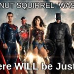 NY State has a PROBLEM | SO PEANUT SQUIRREL  WAS KILLED; There WILL be Justice | image tagged in justice league mad | made w/ Imgflip meme maker