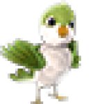 Poc the bird