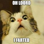 cat fart be like | OH LOORD; I FARTED | image tagged in memes,scared cat | made w/ Imgflip meme maker