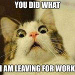 Scared Cat | YOU DID WHAT; I AM LEAVING FOR WORK | image tagged in memes,scared cat | made w/ Imgflip meme maker