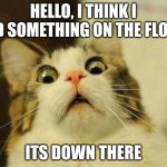 Scared Cat | HELLO, I THINK I DID SOMETHING ON THE FLOOR; ITS DOWN THERE | image tagged in memes,scared cat | made w/ Imgflip meme maker