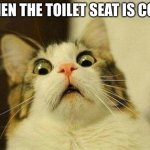 Scared Cat | WHEN THE TOILET SEAT IS COLD | image tagged in memes,scared cat | made w/ Imgflip meme maker