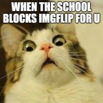 Scared Cat | WHEN THE SCHOOL BLOCKS IMGFLIP FOR U | image tagged in memes,scared cat | made w/ Imgflip meme maker