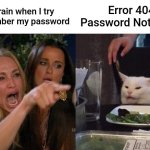 Woman Yelling At Cat | My brain when I try to remember my password; Error 404: Password Not Found | image tagged in memes,woman yelling at cat | made w/ Imgflip meme maker