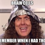 weird al yankovic tinfoil hat | BRAIN CELLS; I REMEMBER WHEN I HAD THOSE | image tagged in weird al yankovic tinfoil hat | made w/ Imgflip meme maker