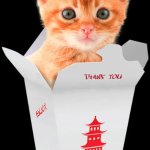 Chinese food