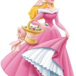 Aurora Briar Rose