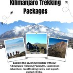 Kilimanjaro Trekking Packages
