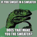 Philosoraptor | IF YOU SWEAT IN A SWEATER; DOES THAT MAKE YOU THE SWEATER? | image tagged in memes,philosoraptor | made w/ Imgflip meme maker