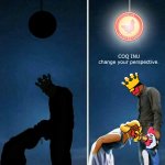 COQINU perspective