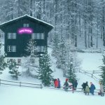 COQINU shack
