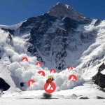 COQINU avalanche