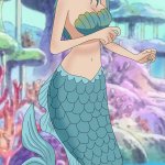 one piece mermaid