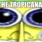 i'm late for the tropicana implosion so i decide to make this meme | ME WHEN THE TROPICANA IMPLODED | image tagged in sad spong,implosion | made w/ Imgflip meme maker