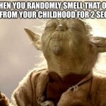 you never remember what its from too | WHEN YOU RANDOMLY SMELL THAT ONE SMELL FROM YOUR CHILDHOOD FOR 2 SECONDS: | image tagged in yoda smell,funny,childhood,nostalgia,stop reading the tags | made w/ Imgflip meme maker