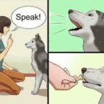 Speak