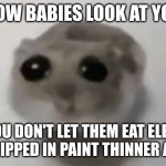 hamster | HOW BABIES LOOK AT YOU; WHEN YOU DON'T LET THEM EAT ELECTRICAL CORDS DIPPED IN PAINT THINNER AND LEAD | image tagged in sad hamster | made w/ Imgflip meme maker