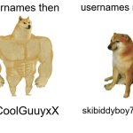 memes that cure mein desspresion | usernames then; usernames now; XxCoolGuuyxX; skibiddyboy7783 | image tagged in memes,buff doge vs cheems,usernames,funny | made w/ Imgflip meme maker