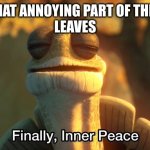 Finally, inner peace HD | WHEN THAT ANNOYING PART OF THE GROUP 
LEAVES | image tagged in finally inner peace hd | made w/ Imgflip meme maker