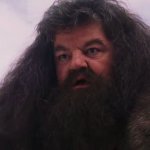 Hagrid meme