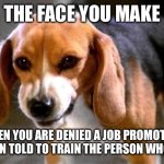 Spread it if it happened to you. | THE FACE YOU MAKE; WHEN YOU ARE DENIED A JOB PROMOTION AND THEN TOLD TO TRAIN THE PERSON WHO GOT IT. | image tagged in porthos the angry beagle | made w/ Imgflip meme maker