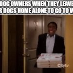 Anyone With A Dog Can Relate | DOG OWNERS WHEN THEY LEAVE THEIR DOGS HOME ALONE TO GO TO WORK | image tagged in gifs,memes,relatable,dogs,owner,living room | made w/ Imgflip video-to-gif maker