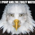 eagle stare | ME AFTER I POOP AND THE TOILET WATER RECOILS | image tagged in eagle stare | made w/ Imgflip meme maker