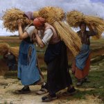 Wheat social